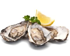 Are cooked oysters safe to eat